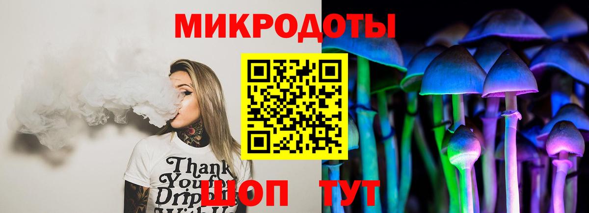 Псилоцибиновые грибы Cubensis Отрадный